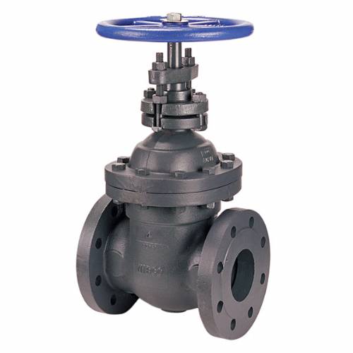 F-669-Z Gate Valve, Class 250, Cast Iron, Non-rising Stem, w/By-Pass